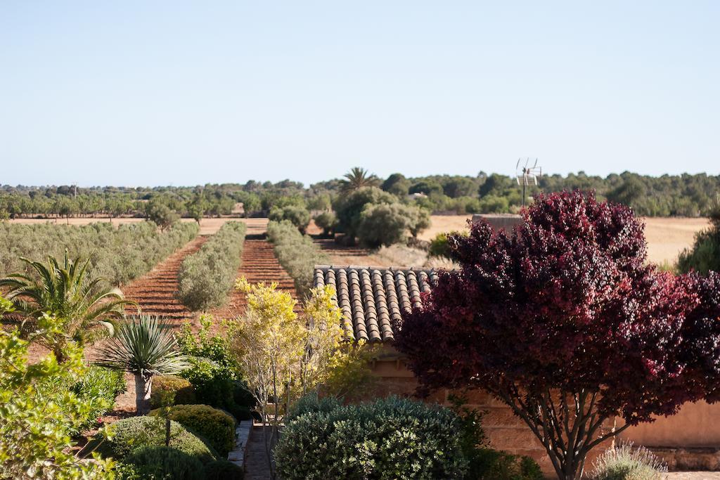Finca Agroturismo Can Carro Campos  Exterior photo